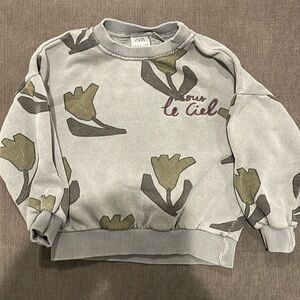 Zara 2-3 sweatshirt